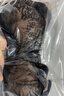伊維斯【蕾絲小耳朵】蕾絲內(nèi)衣無鋼圈文胸薄款大碼文胸大胸顯小透氣性感 020 神秘黑 L /165(適合:75CDE,80AB) 曬單實拍圖