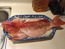 軒農(nóng)谷東星斑禮盒中秋送禮生鮮魚類鮮活冷凍野生紅石斑魚高端海鮮大禮包 【1-1.3斤/條】2條禮盒裝 曬單實拍圖