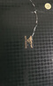 七匹狼內(nèi)褲男士100%純棉四角褲大碼平角褲男生褲衩抗菌褲頭男式夏季短褲 3315小包筋不勒腰彈力純棉 4條 XL (腰圍2.3-2.5尺120-140斤) 曬單實拍圖
