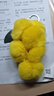真獺兔毛葡萄創(chuàng  )意水果系毛球葡萄串鑰匙扣毛絨背包包汽車(chē)飾品掛件 黃色 14cm 曬單實(shí)拍圖