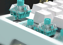 TTC青龍軸RGB 龍年生肖旗艦軸 1.08mm快速觸發(fā) 青龍出海 大展鴻圖 電競游戲鍵盤必備軸體鍵盤外設配件 青龍軸RGB*36顆 曬單實拍圖