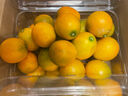 桃西村 四川大涼山德昌脆蜜金桔三代金桔新鮮水果孕婦甜蜜純甜無(wú)籽大果 涼山脆蜜金桔 3斤 小果 曬單實(shí)拍圖