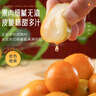 田良季融安脆蜜金桔金柑【第三代-JD/順豐多地次日達】廣西水果年貨送禮 巨無(wú)霸19-23個(gè)/斤 超大超甜 10斤精品裝【80%選蕞劃算】?jì)?斤 曬單實(shí)拍圖