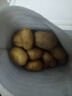 內(nèi)蒙土豆烏蘭察布2024年土豆新鮮蔬菜土豆黃心馬鈴薯黃皮土豆 凈重9斤 曬單實(shí)拍圖