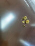 瑞飄耳釘女新款豆豆彎鉤金黃色耳飾送閨蜜禮 如意結(jié)耳釘 1.0克 曬單實(shí)拍圖