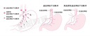 昭昭醫(yī)考2026年官方網(wǎng)課臨床執(zhí)業(yè)醫(yī)師課程助理視頻考試書題庫(kù)教材全程班26執(zhí)業(yè)醫(yī)師考試昭昭全程班 臨床執(zhí)業(yè)醫(yī)師 全程班-考技能【筆試課+技能課+4本教材】 曬單實(shí)拍圖