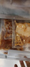 犇西詩【寶媽優(yōu)選】香煎板燒雞腿排100g/袋 小吃雞肉兒童小孩早餐雞排 【劃算減脂餐】18袋丨100g/袋 曬單實(shí)拍圖