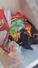 天農(nóng)食品原種清遠雞老母雞1.8斤生鮮燉湯供港土雞肉生態(tài)散養(yǎng)走地雞365天+天農(nóng)生態(tài)老母雞1.8斤 曬單實拍圖