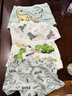 棉奇熊男童內(nèi)褲兒童純棉平角短褲4條裝中大童男孩不夾PP寶寶小童四角褲 恐龍樂園-A類精梳棉- 4條 150 -身高150-160cm體重65-85斤 曬單實(shí)拍圖