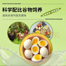 新鮮現撿土雞蛋鮮雞蛋無(wú)抗雞蛋單枚50±5g 鮮雞蛋40枚禮盒裝 曬單實(shí)拍圖
