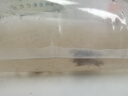 好養(yǎng)易活漂亮進口寵物泰國斗魚活體觀賞魚淡水熱帶魚小型半月活魚 隨機馬尾母魚1條 曬單實拍圖