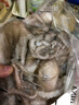 漁人百味 冷凍長腿八爪魚1000g海鮮水產(chǎn)魷魚爆頭鮮活火鍋燒烤食材魷魚須1 2000g 長腿八爪魚 曬單實拍圖