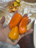 新鮮水果彩椒500g甜椒迷你小辣椒紅黃青小彩椒西餐沙拉蔬菜食材 1000g 曬單實拍圖