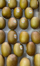 佳沛（zespri）陽(yáng)光金奇異果黃心獼猴桃新西蘭進(jìn)口巨無(wú)霸當季新鮮水果禮盒 22枚【精美禮盒】家庭裝 優(yōu)選果（單果約105-113g） 曬單實(shí)拍圖
