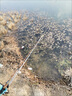 達(dá)瓦虎鯨日系高碳逆絲7代鯽魚竿5H19調(diào)硬28調(diào)十大釣魚竿極細(xì)超輕品牌手竿 3.6m 創(chuàng)世版+原廠桿稍+桿止+終身 曬單實(shí)拍圖