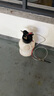 酷安騰氣動變速箱油加注器波箱油加注工具自動加油更換機油換油機通用型 升級新款-10L 曬單實拍圖