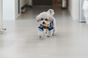 索尼FE 85mm F1.4 GM II 全畫幅中遠攝大光圈定焦G大師鏡頭二代（SEL85F14GM2） SEL85F14GM2【官方標配】 曬單實拍圖