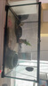 REPTIZOO新派寵物烏龜缸帶曬臺水陸生態(tài)缸家用玻璃養水龜飼養箱別墅巴西龜 50x30x25cm 曬單實(shí)拍圖
