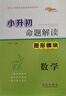 小升初命題解讀 應(yīng)用模塊 數(shù)學 圖形模塊/計算模塊/選填模塊 共4本 小升初數(shù)學專項訓(xùn)練 曬單實拍圖