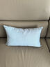 亓元純色加厚仿棉麻腰枕沙發(fā)抱枕靠墊簡(jiǎn)約客廳家用午睡枕長(cháng)方形靠枕 淺藍色 30x50 加厚棉麻/含芯 曬單實(shí)拍圖