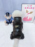 嬉皮狗（hipidog）寵物狗狗石墨烯黑金系列四腳羽絨服博美小型幼犬秋冬款衣服0363 雷奧黑 L （建議體重8-11斤） 曬單實(shí)拍圖