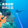 燈火匠潛水綠激光燈強(qiáng)光手電遠(yuǎn)射水下電筒防水激光筆航海水里專(zhuān)用激光筆 紫光潛水激光燈 曬單實(shí)拍圖