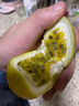 欽蜜9號黃金百香果公司采購可開(kāi)發(fā)票福建龍巖武平象洞產(chǎn)地直發(fā) 欽蜜9號黃金果5斤包郵 【大果70-85g 】 #做行業(yè)口碑 只發(fā)品質(zhì)果 曬單實(shí)拍圖