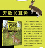 西頓動(dòng)物小說(shuō)fb無(wú)敵長(cháng)耳兔fb經(jīng)典動(dòng)物文學(xué)適合中小學(xué)生閱讀課外書(shū)fb安徽少年兒童出版社fb 曬單實(shí)拍圖