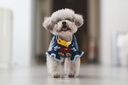 索尼FE 85mm F1.4 GM II 全畫幅中遠攝大光圈定焦G大師鏡頭二代（SEL85F14GM2） SEL85F14GM2【官方標配】 曬單實拍圖