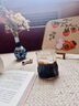 斐月伽高硼硅玻璃水杯高顏值涼水杯咖啡杯冰美式復(fù)古早餐杯喝水杯高級感 300ml 曬單實(shí)拍圖