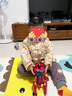 戴維貝拉（DAVE＆BELLA）男寶寶長褲套裝新年中國風兒童漢服男童衣服小童加絨棉衣兩件套 赤灰橘【現(xiàn)貨】 120 cm（建議身高110-120cm） 曬單實拍圖
