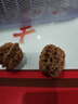 文玩核桃手盤把玩件古玩悶尖蟠龍紋獅子頭情人節(jié)生日禮物男女款 蟠龍紋獅子頭一對39mm 曬單實(shí)拍圖