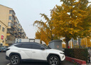 車麗友專用于現(xiàn)代朗動(dòng)名圖ix25沐颯ix35菲斯塔領(lǐng)動(dòng)途勝L 后備箱墊 黑色 現(xiàn)代專用 聯(lián)系客服備注車型+年款 曬單實(shí)拍圖
