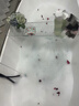 沐麗雅貴妃牛奶嫩膚牛奶泡泡浴超多泡泡酒店SPA泡澡專用花瓣天然 10袋裝 曬單實(shí)拍圖