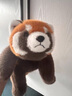 朗程仿真浣熊公仔狐貍毛絨玩具可愛(ài)小熊貓玩偶動(dòng)物園抱枕禮物親子女孩 熊貓 小(四肢有加重粒子) 65cm(0.89kg) 曬單實(shí)拍圖