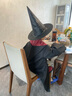 熊遛彎哈利波特學(xué)院長袍兒童魔法袍cosplay裝角色扮演服裝男女童表演服 魔法袍豪華套裝（包含巫師帽） 140 適合身高130 - 149CM 曬單實(shí)拍圖