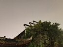 詩凡黎（'SEIFINI）【羊駝毛綿羊毛大衣】詩凡黎學(xué)院風(fēng)毛呢外套24冬新款小個子雙面呢 灰色 L 曬單實拍圖