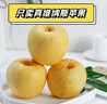 四海上品山東黃金維納斯蘋(píng)果雀斑美人當季新鮮水果脆甜果香濃郁丑蘋(píng)果整箱 維納斯寶寶果 9個(gè)裝（65mm+） 曬單實(shí)拍圖