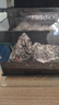 小米魚(yú)缸造景全套智能生態(tài)套裝擺件長(cháng)江石南美風(fēng)米家配件水族箱專(zhuān)用 青龍石黑沙造景【不含魚(yú)缸】 曬單實(shí)拍圖