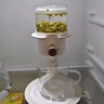 帝國(guó)迷你小可咖啡壺沖茶器日式泡茶壺花茶壺玻璃滴濾式咖啡壺創(chuàng)意沖茶 白色 曬單實(shí)拍圖
