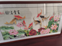 盛楨國畫九魚圖掛畫客廳沙發(fā)背景墻畫餐廳裝飾畫荷花圖墻畫九條魚壁畫 富貴有余A款 三尺125*65cm(實木框+有機(jī)玻璃) 曬單實拍圖