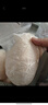 浪莎前扣內(nèi)衣女大胸顯小上托調(diào)整型收副乳性感女士文胸罩 綠 36BC 曬單實拍圖