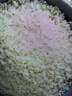 華望山姆會(huì )員超市商店山姆大米有機五常大米稻花香2號品種小米胚芽米 5kg*1袋 曬單實(shí)拍圖