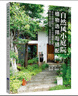 自然風(fēng)小庭院設(shè)計——植物選擇與搭配 曬單實拍圖