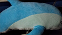 迪夢(mèng)奇小海豚毛絨玩具陪睡覺(jué)抱枕兒童男女孩超大玩偶女生布娃娃公仔超軟 藍色海豚抱枕 90厘米【精心挑選+不會(huì )掉毛】 曬單實(shí)拍圖