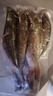 云映漁舟 微山湖生態(tài)大鯽魚(凈膛) 生態(tài)活魚現(xiàn)殺淡水魚生鮮孕產(chǎn)婦下奶燉湯 中號鯽魚（每斤4-5條） 3斤（殺好損耗15％） 曬單實拍圖