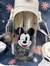 DISNEY迪士尼PPSU兒童水杯男孩夏天直飲杯子小學(xué)生上學(xué)專(zhuān)用喝水吸管水壺 米奇500ml+PPSU【一杯雙蓋】 曬單實(shí)拍圖