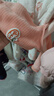 小三月嬰兒衣服秋冬保暖內(nèi)衣加絨套裝分體開襠男女寶寶加厚秋衣秋褲 紅色 加絨 A110套裝 80cm 曬單實(shí)拍圖