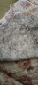 啄木鳥(niǎo)立領(lǐng)印花雪紡襯衫女春夏2024新款設(shè)計(jì)感上衣高端時(shí)尚洋氣內(nèi)搭打底 圖片雪紡 S 80-95斤 曬單實(shí)拍圖