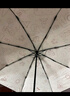 天堂傘新品天堂傘米菲聯(lián)名防曬防紫外線遮太陽傘晴雨兩用傘折疊雨傘男女 奶酪色（五折款） 曬單實拍圖